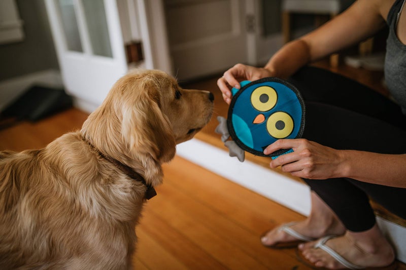 Hyper Pet Firehose Flyers Owl Durable Squeaky Dog Toy Grey 7.5 x 1.2 x 8.2 inches - Image 2